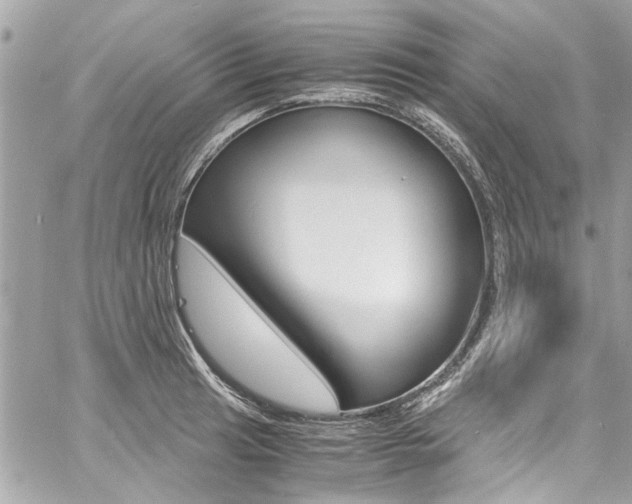 X0000060771041200511100934