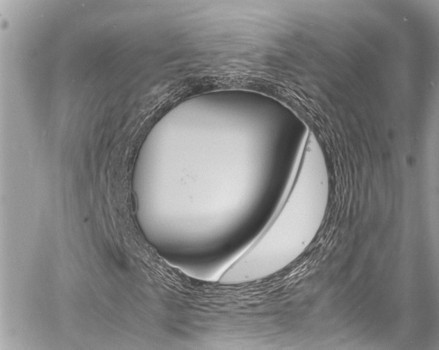 X0000060771057200511100933