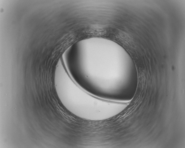 X0000060771058200511100933