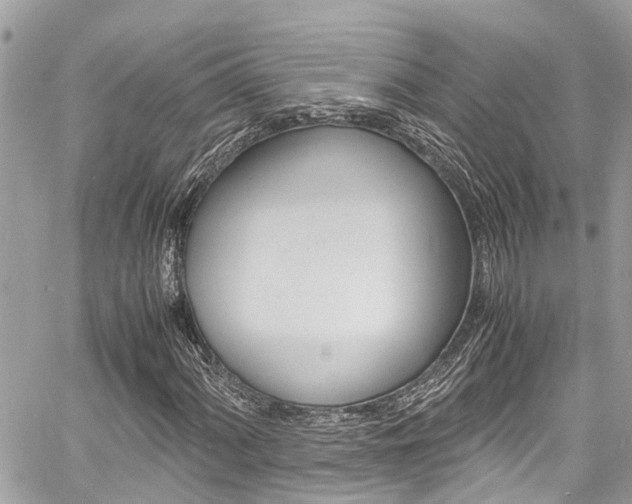 X0000060771060200511100933