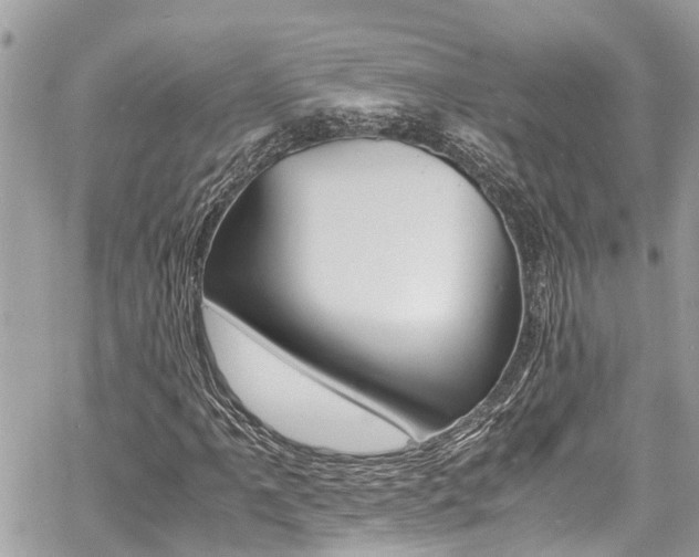 X0000060771061200511100933