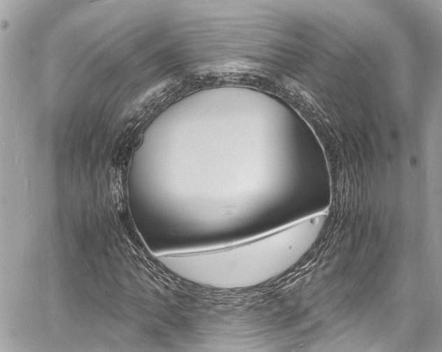 X0000060771062200511100933