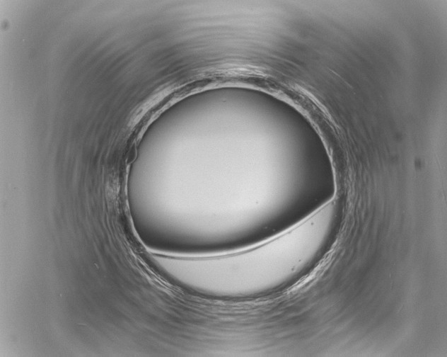 X0000060771065200511100933