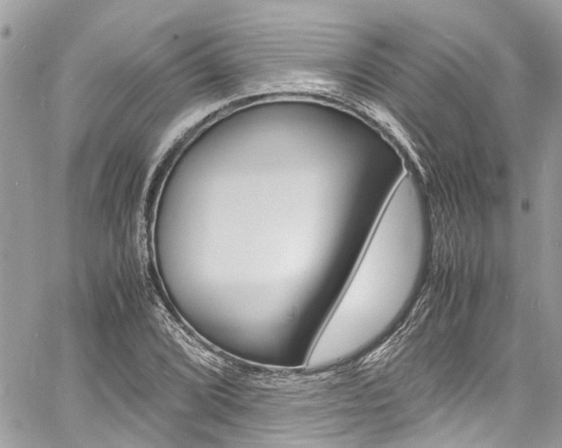 X0000060771072200511100933