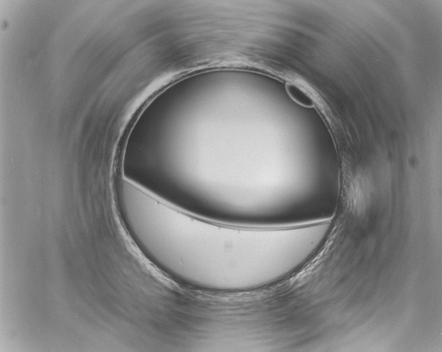 X0000060771142200511100932
