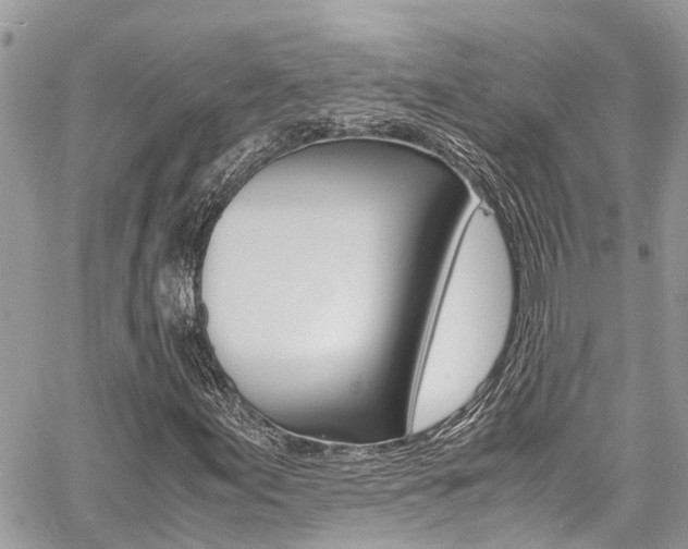 X0000060771155200511100932