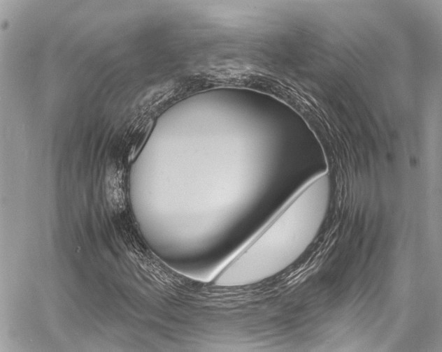 X0000060771156200511100931