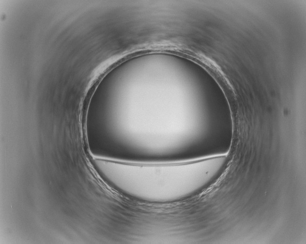 X0000060771176200511100931