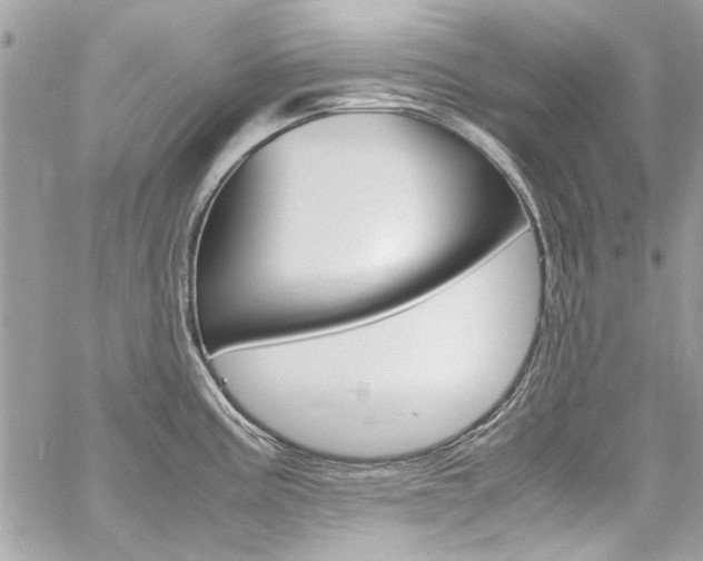 X0000060771195200511100931