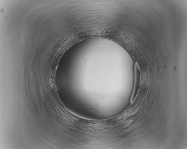 X0000060771202200511100930