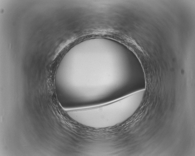 X0000060771256200511100930