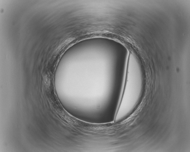 X0000060771257200511100930