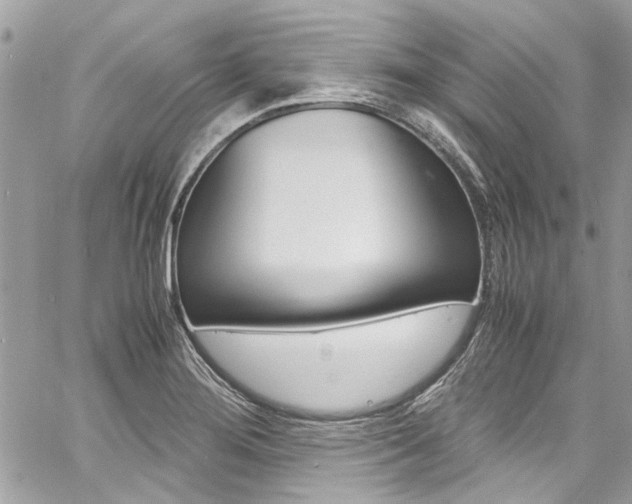 X0000060771276200511100929