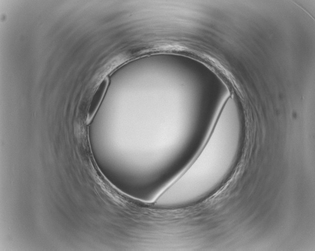 X0000060771281200511100929