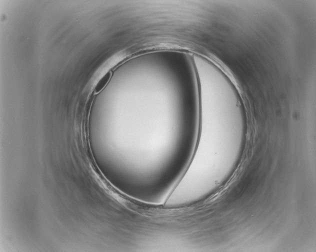 X0000060771293200511100929