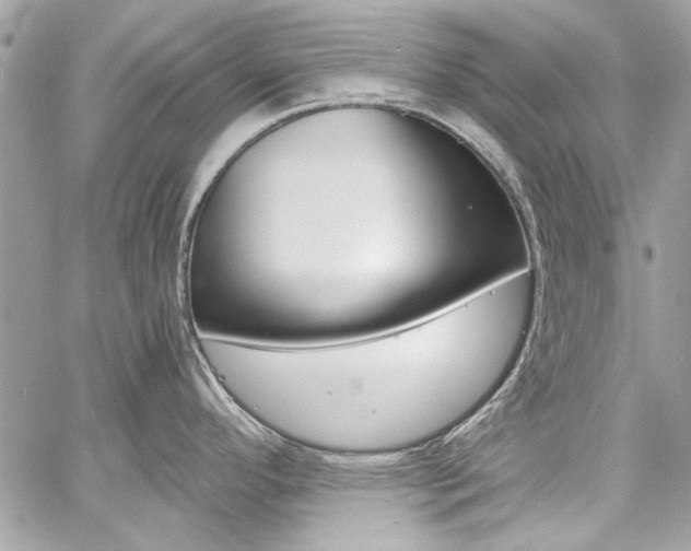 X0000060771296200511100929