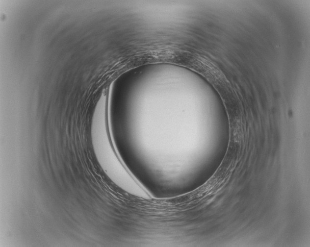 X0000060771298200511100928