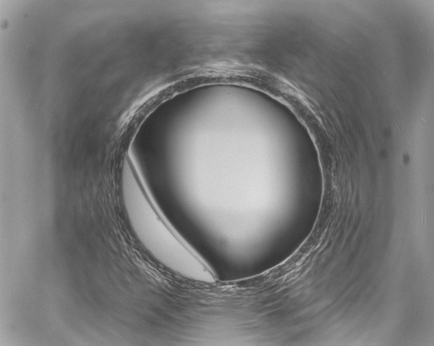 X0000060771304200511100928