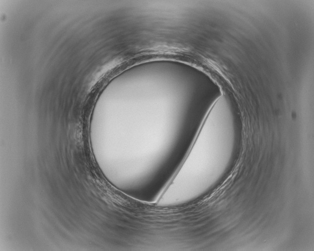 X0000060771307200511100928
