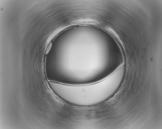 X0000060771336200511100929