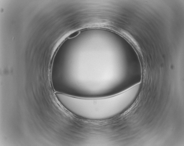 X0000060771340200511100929