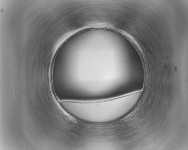 X0000060771343200511100929
