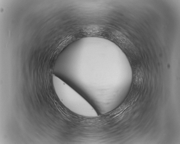 X0000060771346200511100928