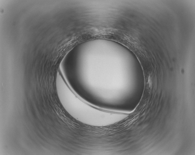 X0000060771348200511100928