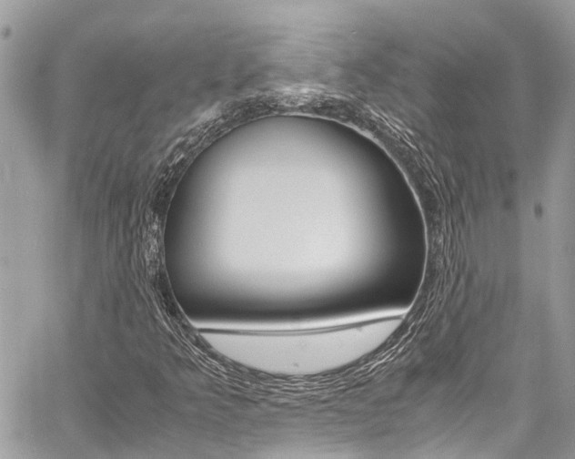 X0000060771349200511100928