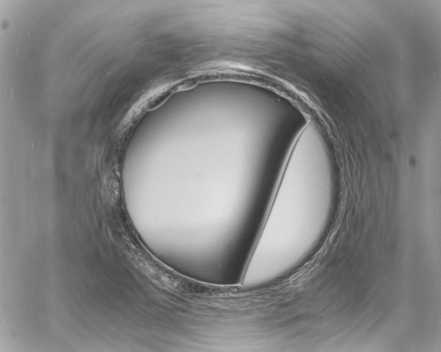 X0000060771363200511100928