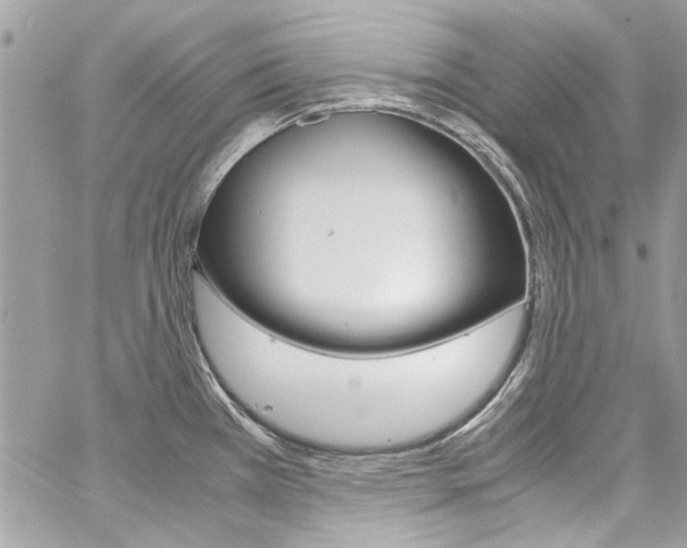 X0000060771385200511100928