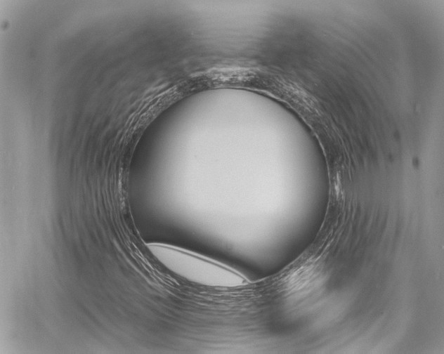 X0000060771396200511100927