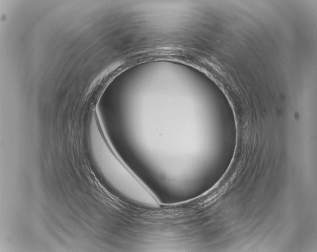 X0000060771402200511100927