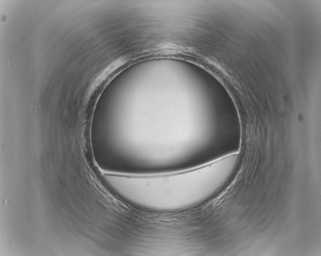 X0000060771410200511100927