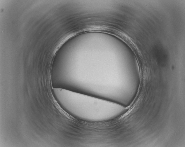 X0000060771417200511100927