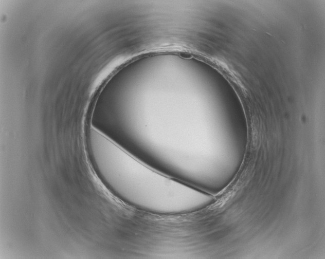 X0000060771422200511100927