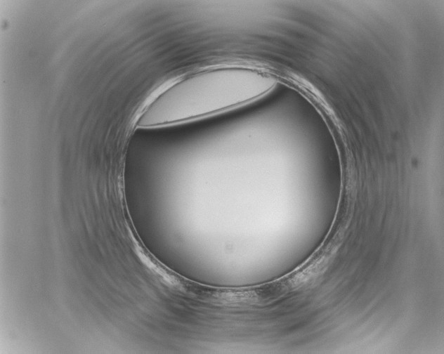 X0000060771433200511100927