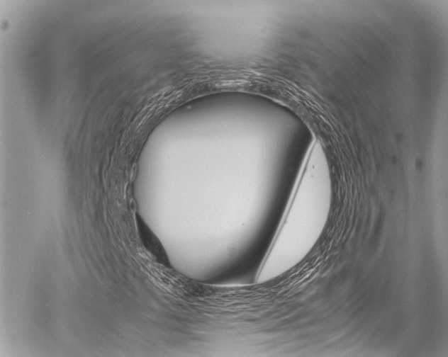 X0000060771441200511100927