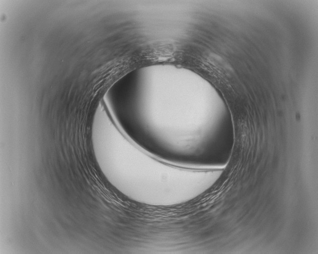 X0000060771442200511100927