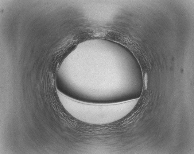 X0000060771443200511100927
