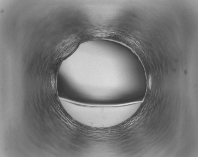 X0000060771444200511100927