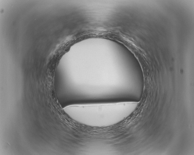X0000060771447200511100927