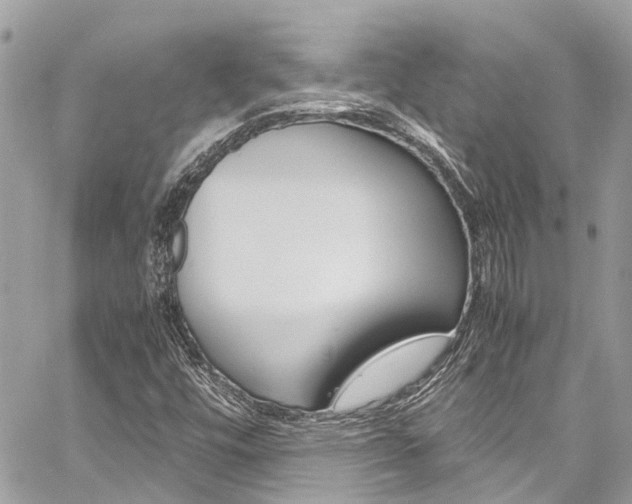 X0000060771448200511100927