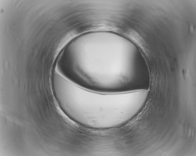 X0000060771476200511100926