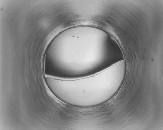 X0000060771483200511100926