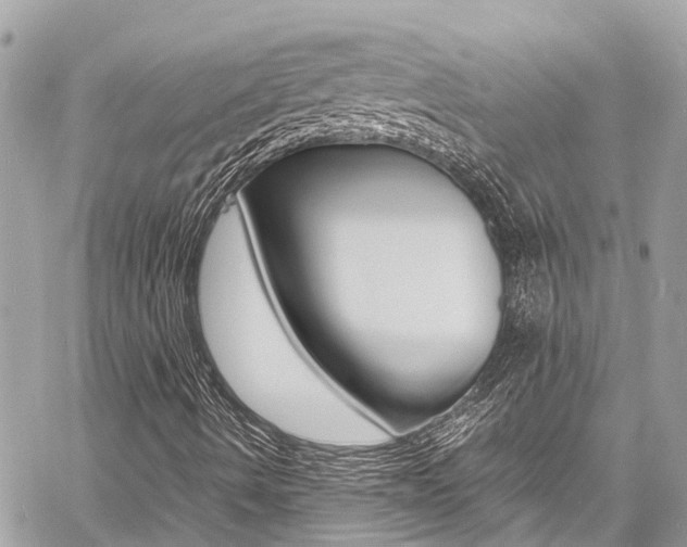 X0000060771490200511100925