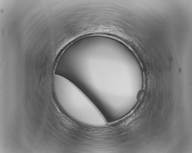 X0000060771505200511100925