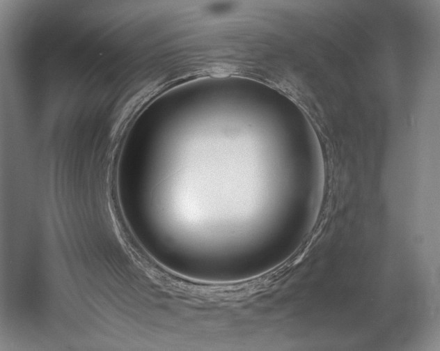 X0000060770001200511101226