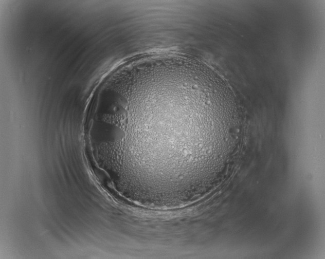 X0000060770002200511101226