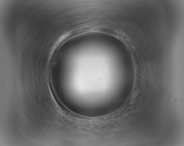 X0000060770003200511101226